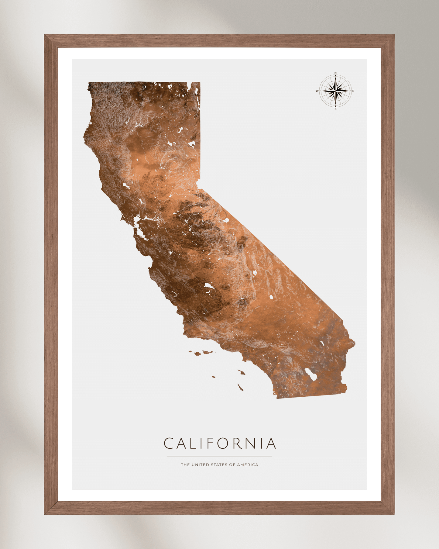 California - Fine Art Topographical Map