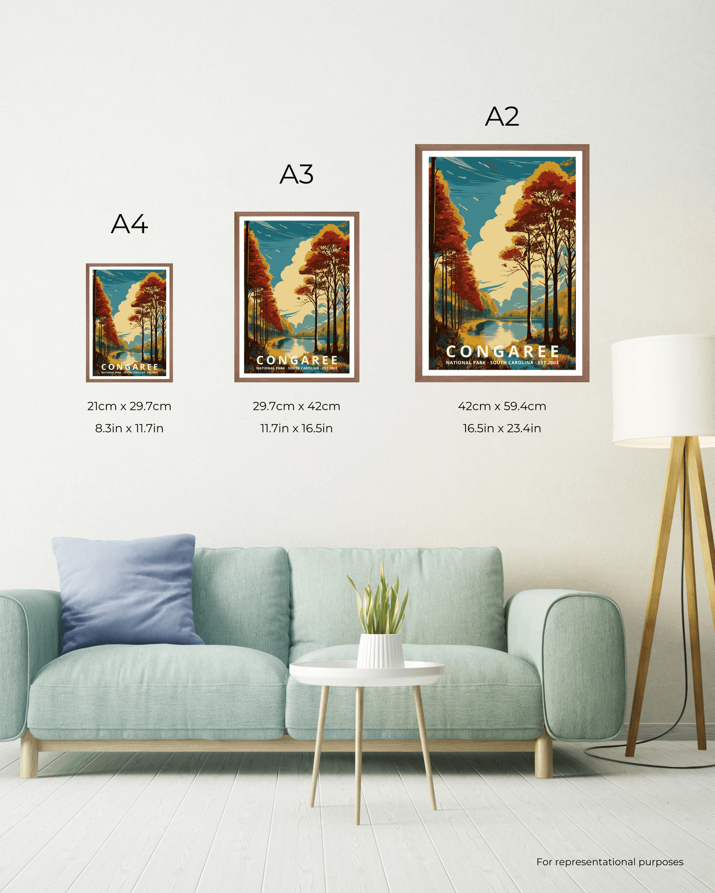Congaree National Park Poster - South Carolina, USA