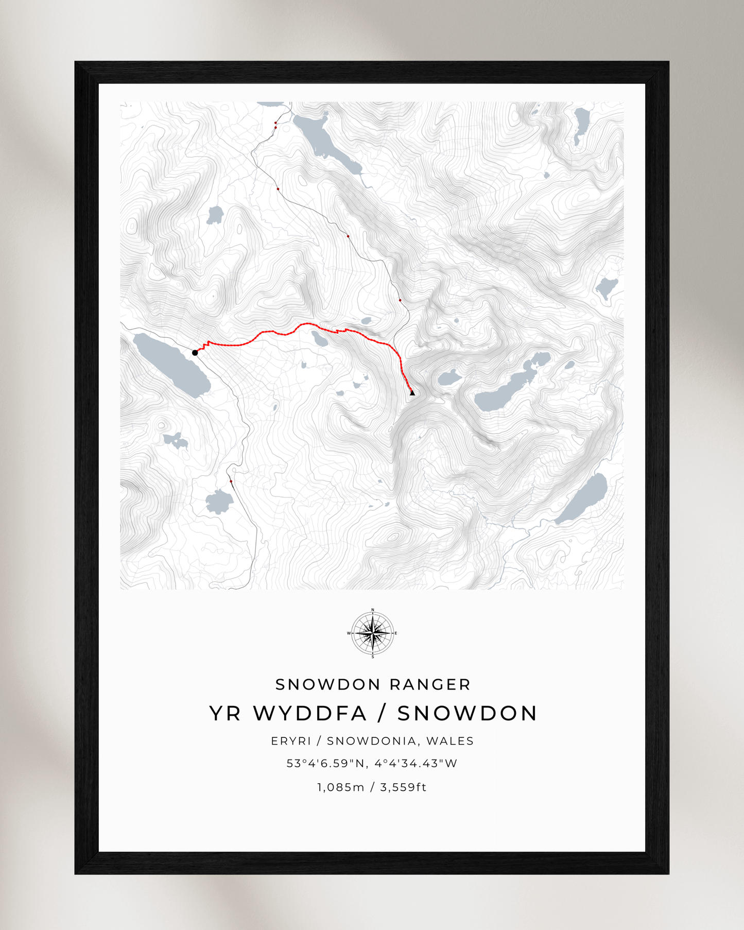 Snowdon Ranger Path Contour Map Poster