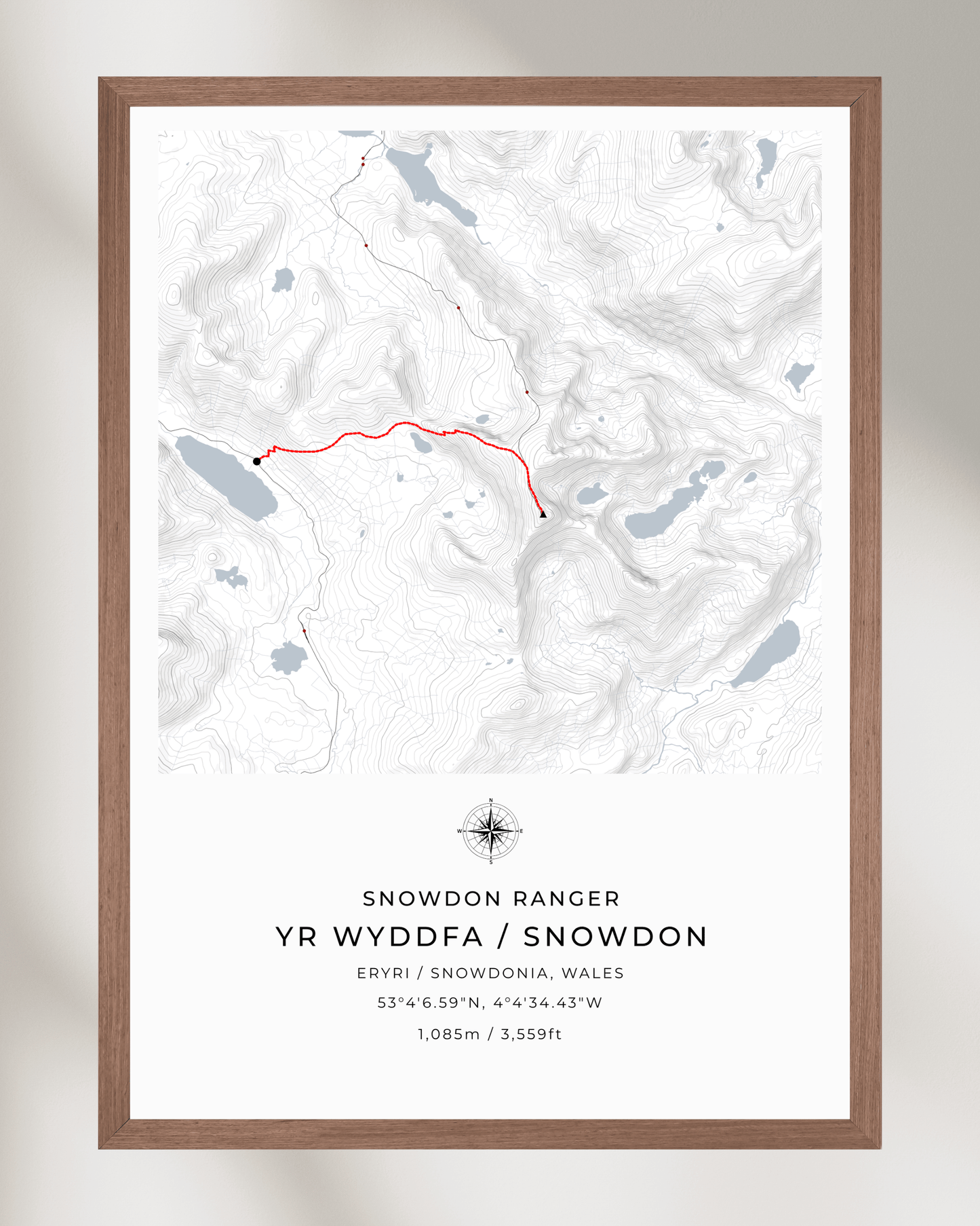 Snowdon Ranger Path Contour Map Poster