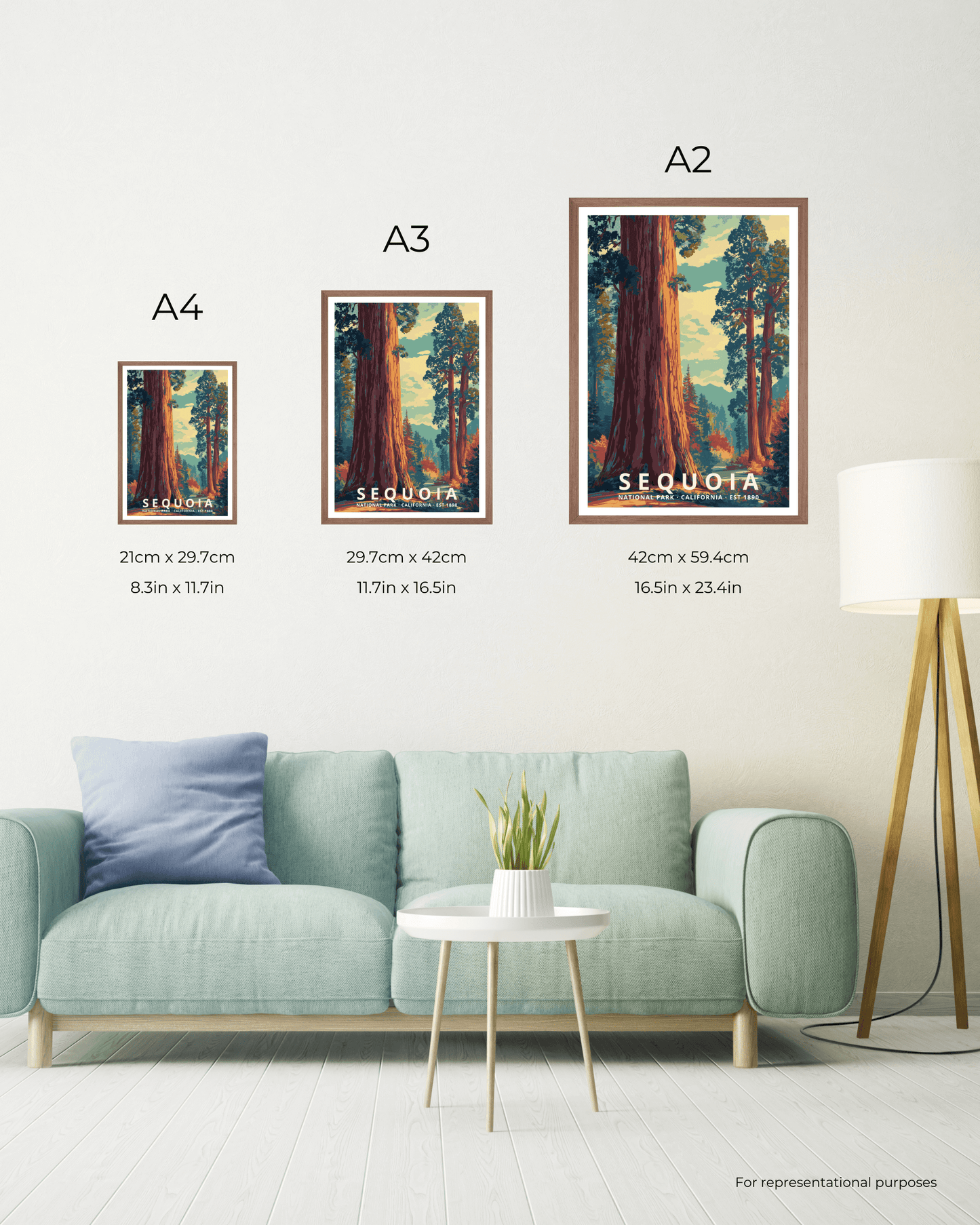 Sequoia National Park Poster - California, USA