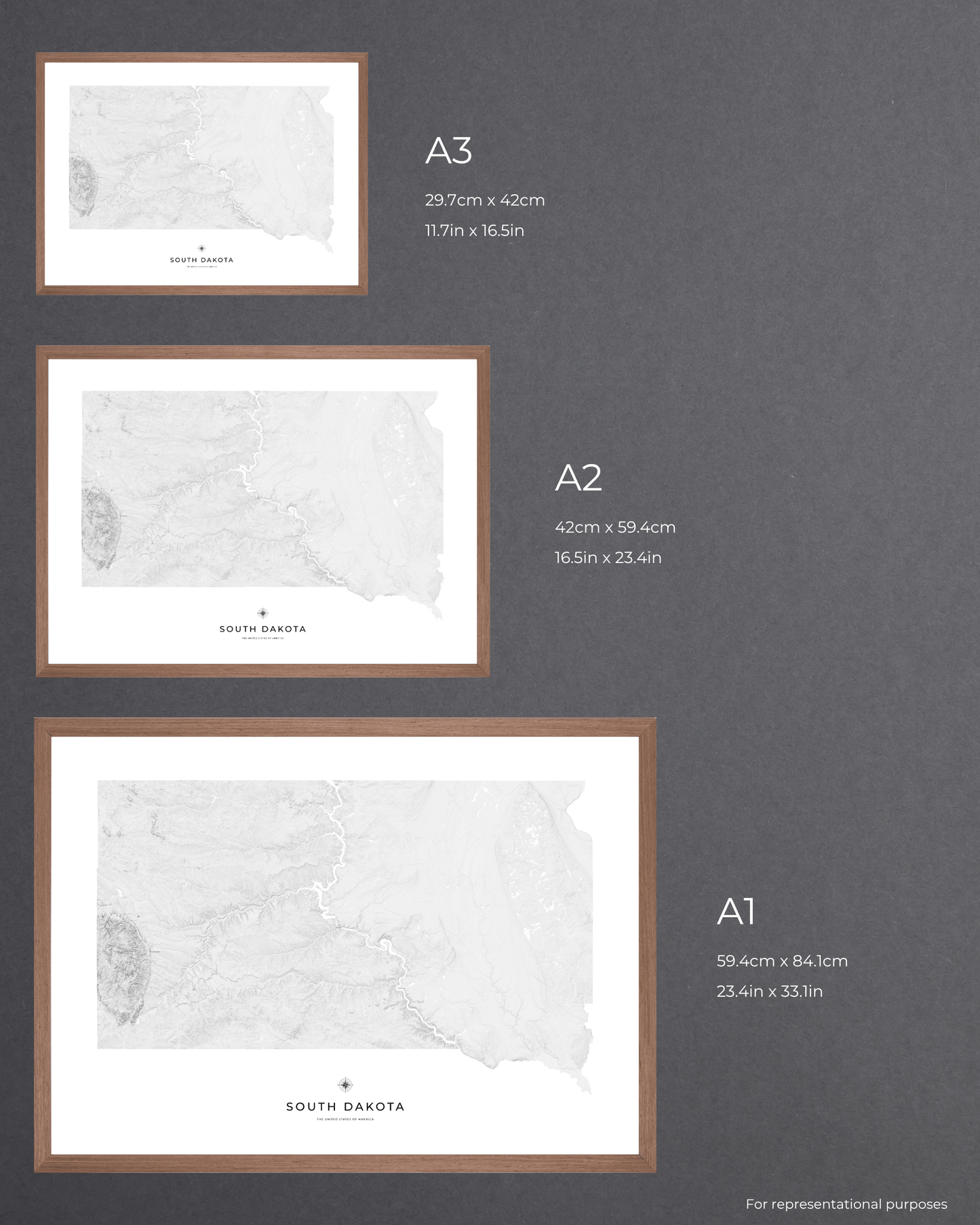 South Dakota - Fine Art Topographical Map Print