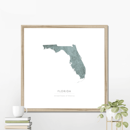 Florida -  Framed & Mounted Map