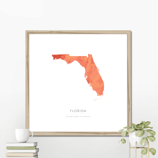 Florida -  Framed & Mounted Map
