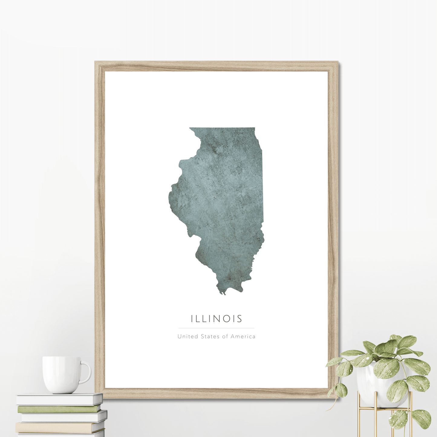 Illinois - Framed & Mounted Map