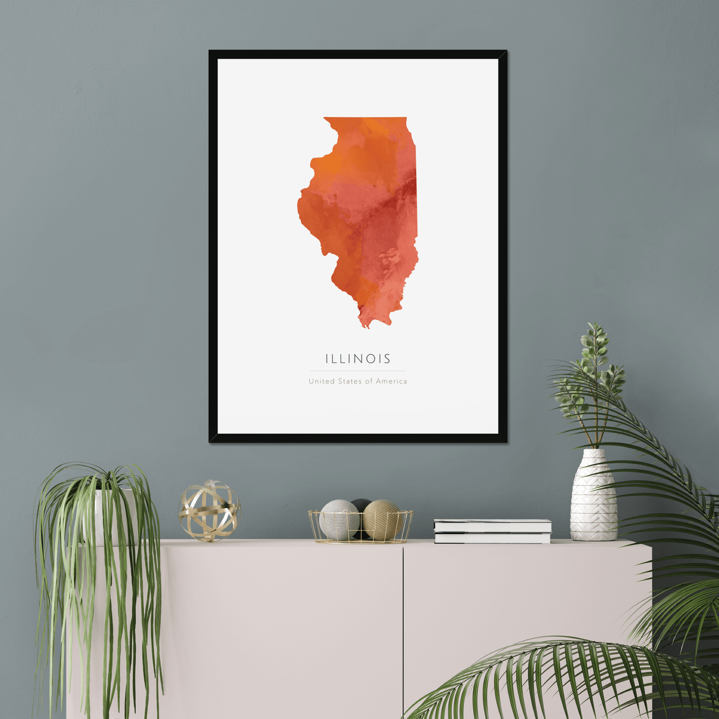 Illinois - Framed & Mounted Map