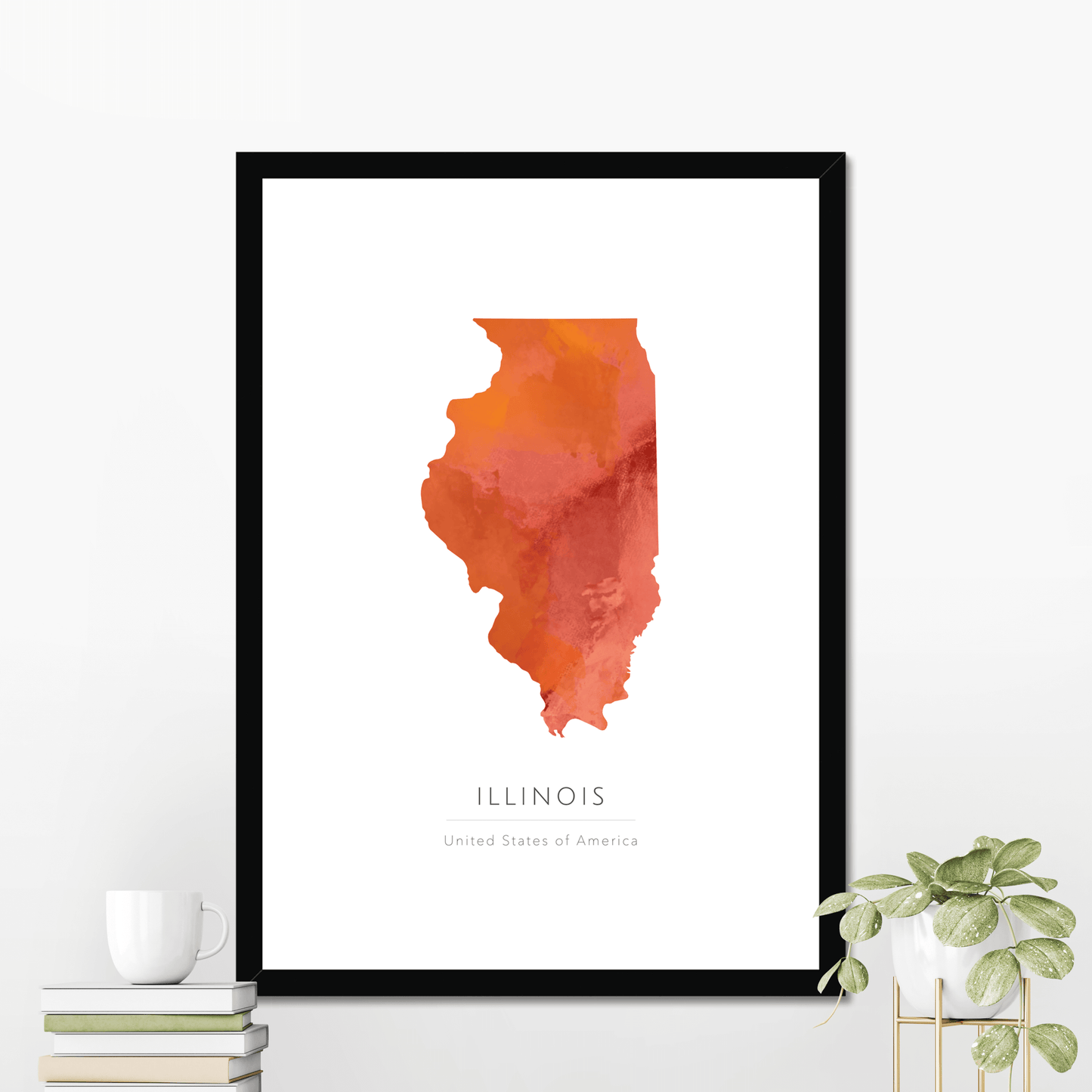 Illinois - Framed & Mounted Map
