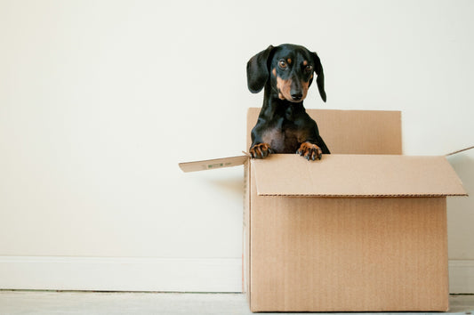 Ideas for new home gifts