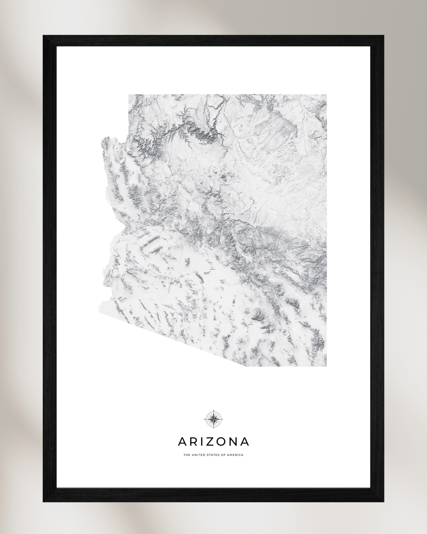 Arizona - Fine Art Topographical Map Print