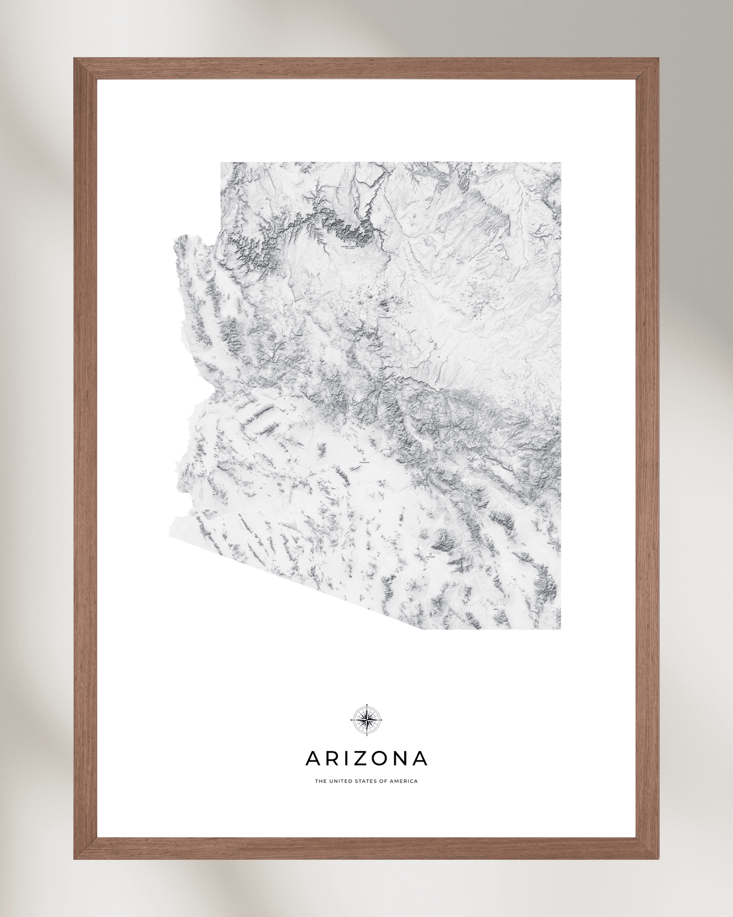Arizona - Fine Art Topographical Map Print