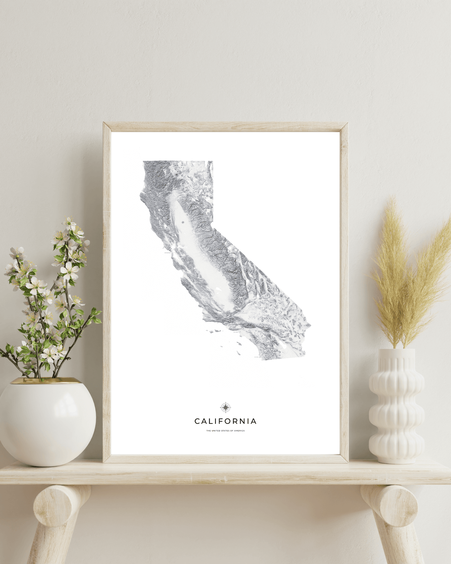 California - Fine Art Topographical Map Print