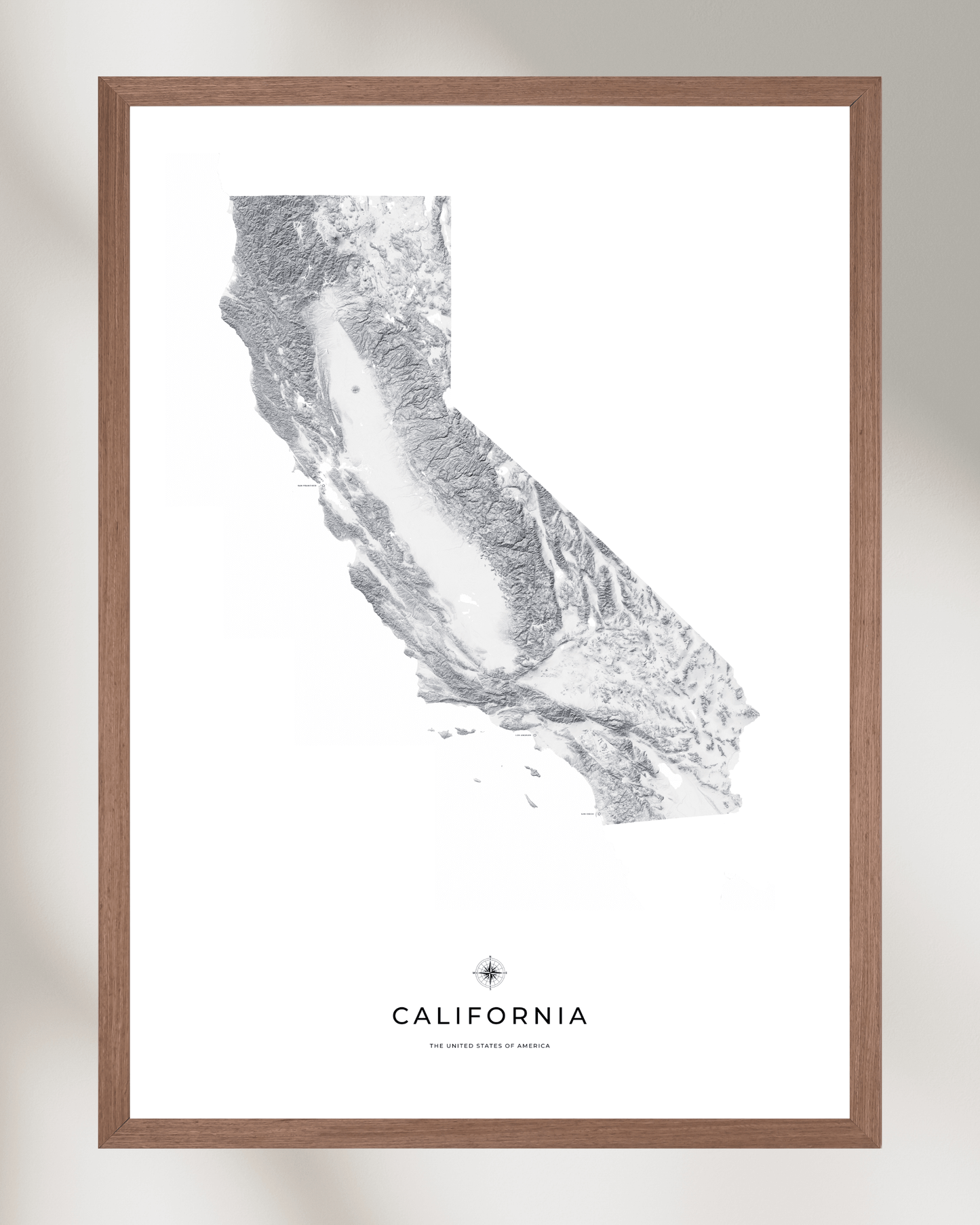 California - Fine Art Topographical Map Print