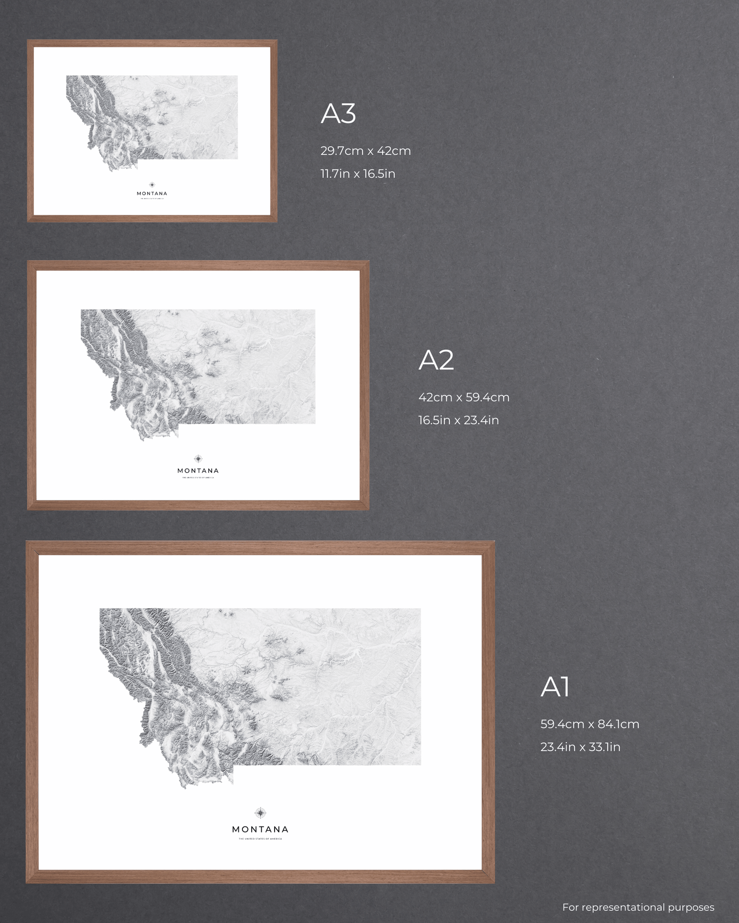 Montana - Fine Art Topographical Map Print