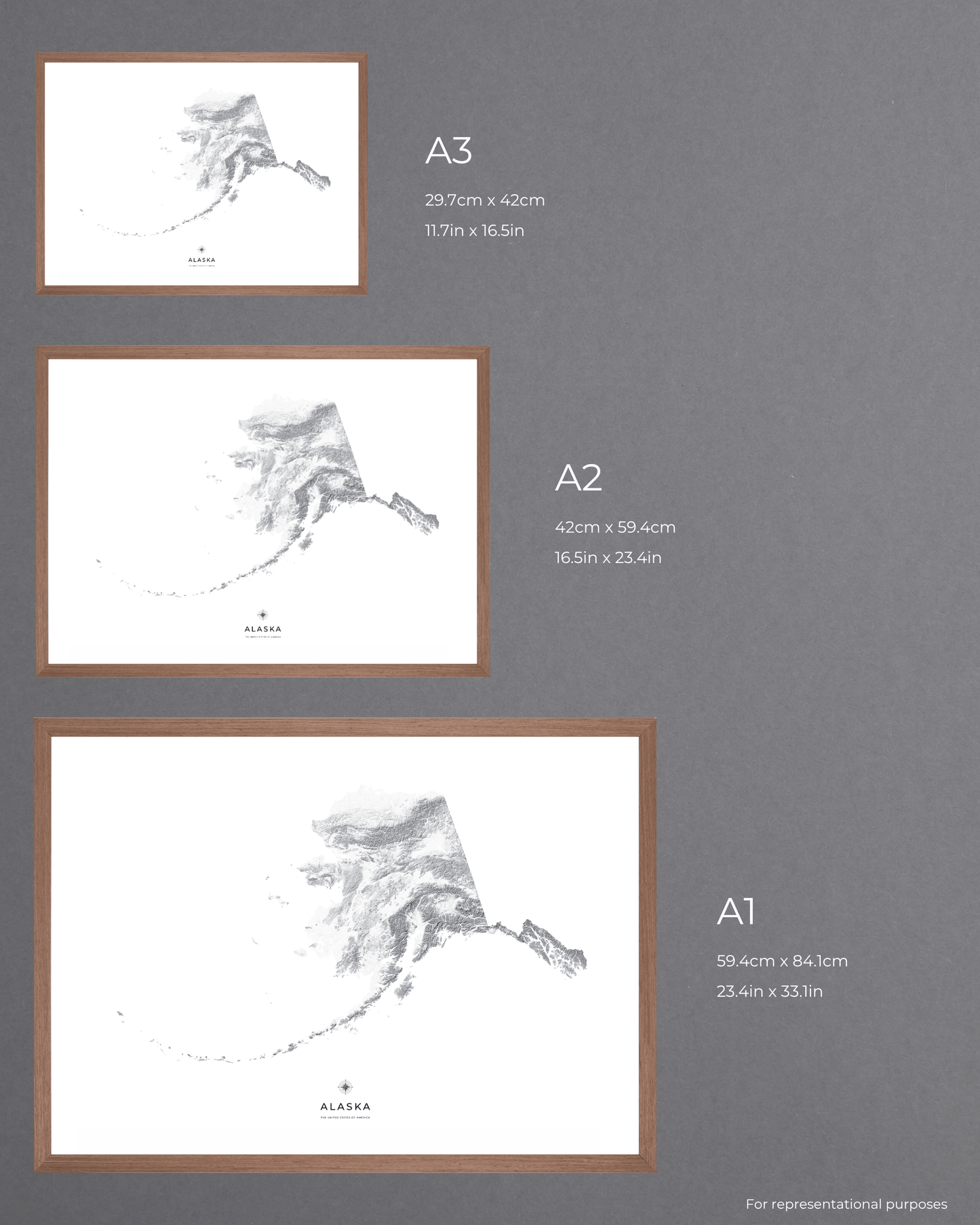 Alaska - Fine Art Topographical Map Print