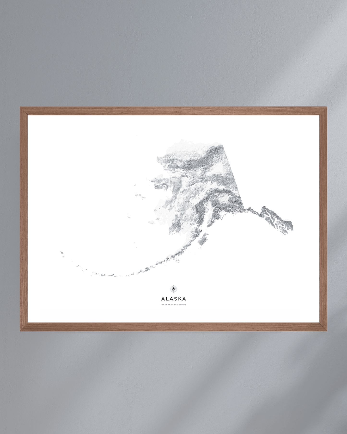 Alaska - Fine Art Topographical Map Print