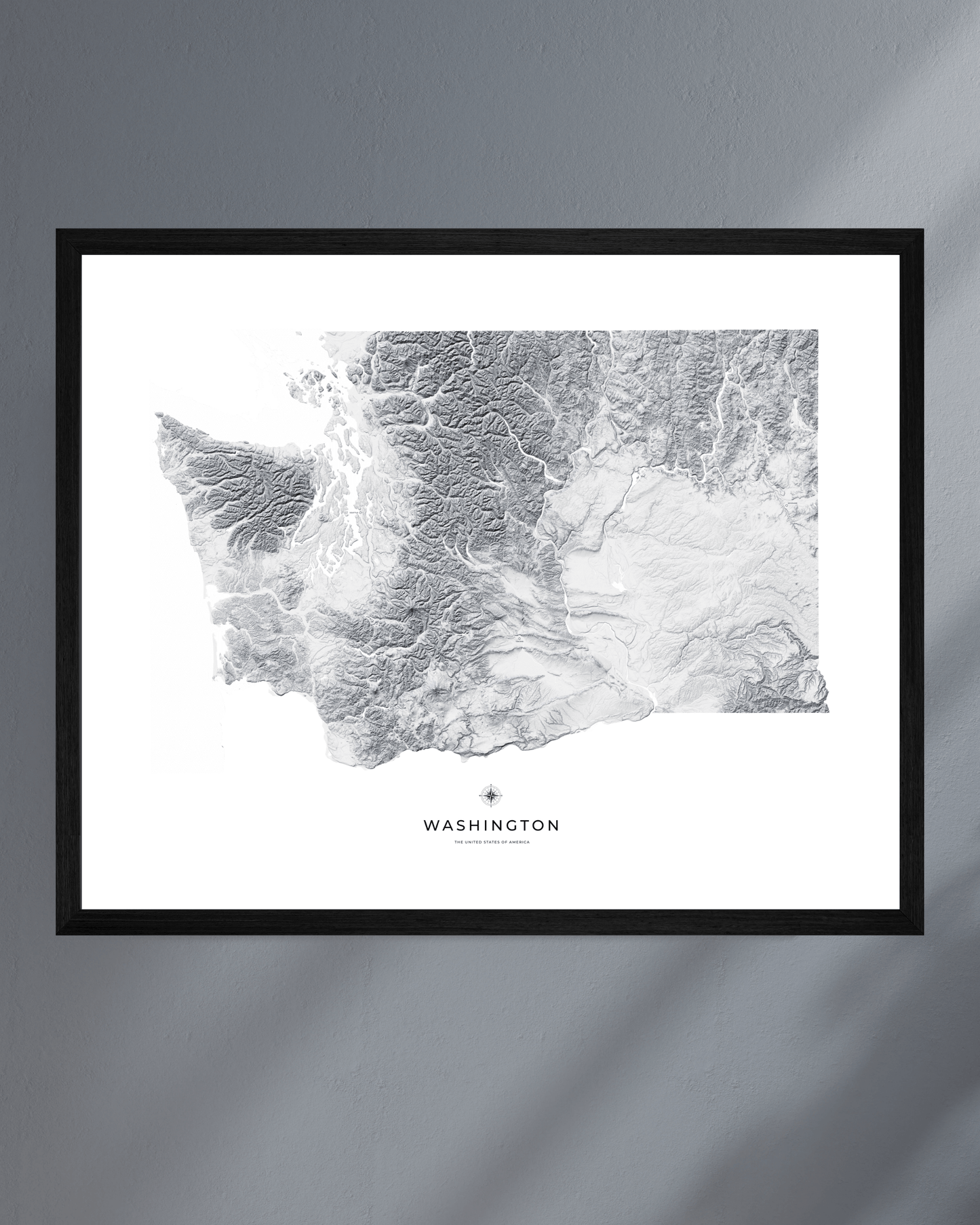 Washington - Fine Art Topographical Map Print