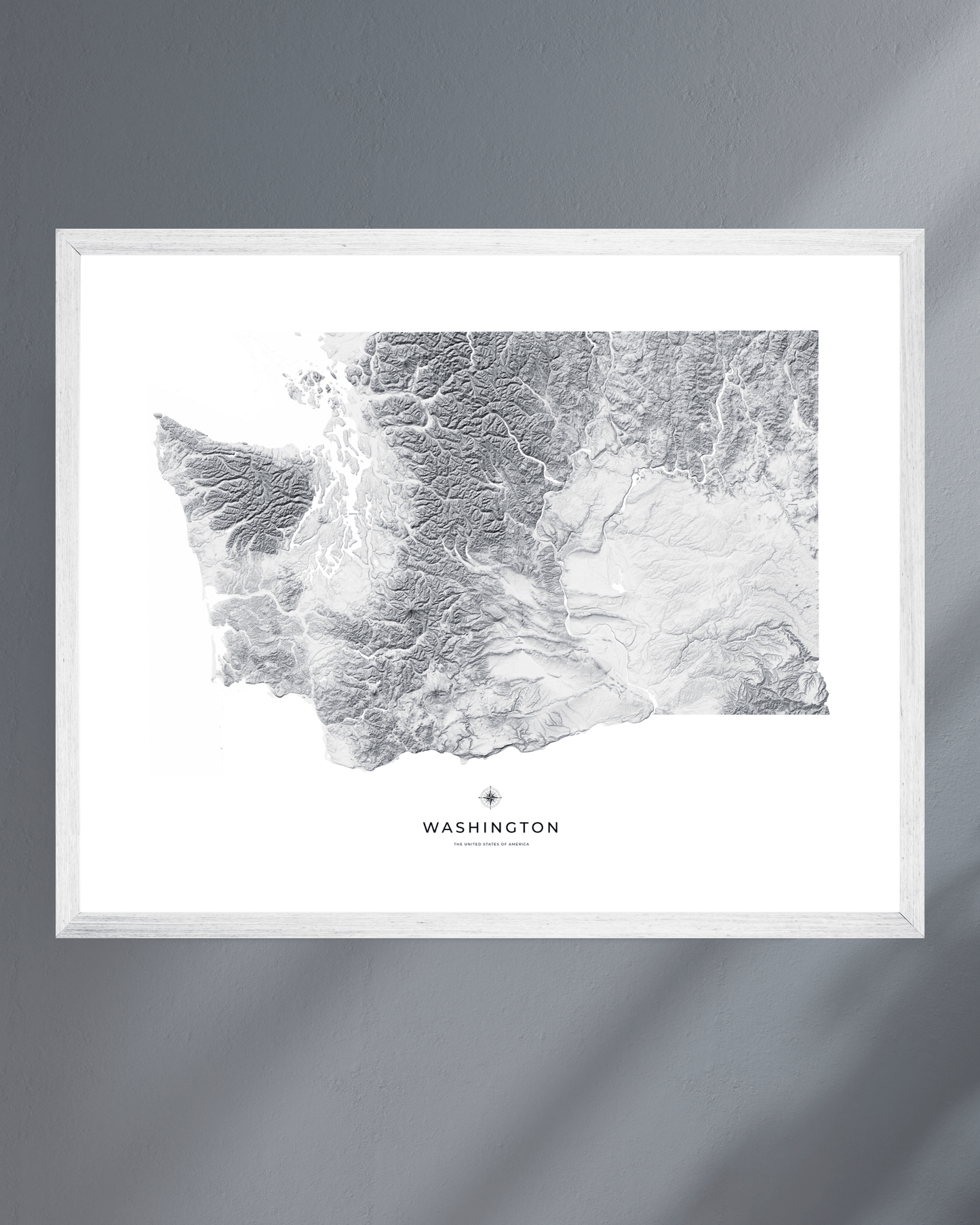 Washington - Fine Art Topographical Map Print