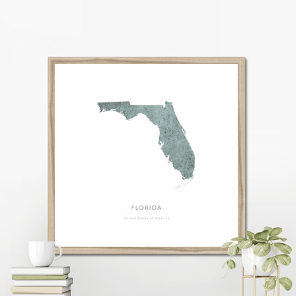 Florida -  Framed & Mounted Map