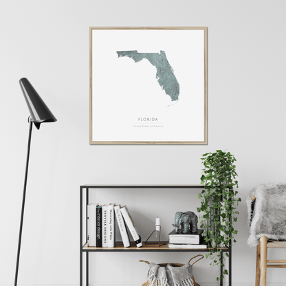 Florida -  Framed & Mounted Map