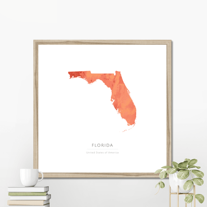 Florida -  Framed & Mounted Map