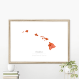 Hawaii -  Framed & Mounted Map