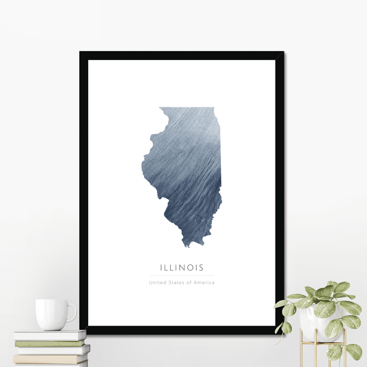 Illinois -  Framed & Mounted Map