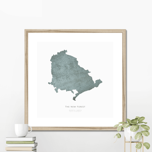 The New Forest -  Framed & Mounted Map