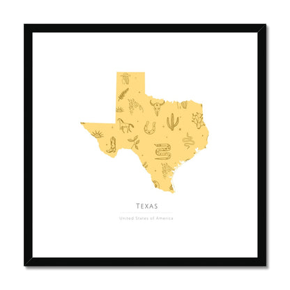 Texas -  Framed & Mounted Map